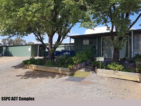 The ISSF club house behind garden beds and gum trees